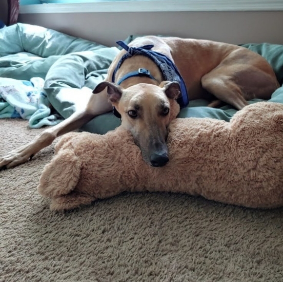 Happy Poshing! - Picture 10 of 13